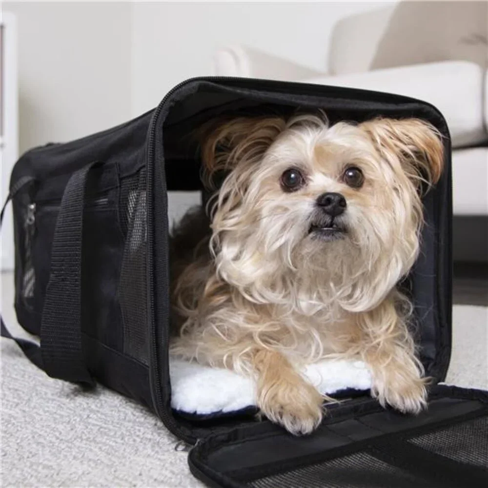 Easy Explorer Medium Guaranteed On-Board Travel Pet Carrier, Black